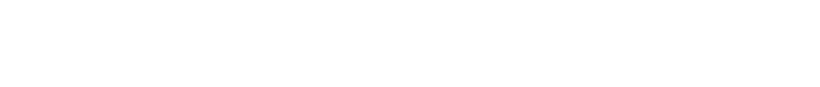 SecureTwin-Logo-KO